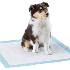 Amazon Basics Dog and Puppy Leak-proof 5-Layer Potty Training Pads with Quick-dry Surface