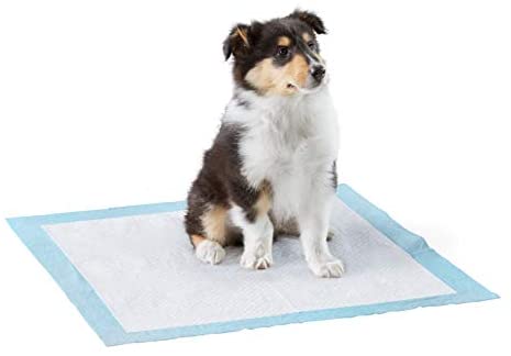 Amazon Fundamentals Canine and Pet Leak-proof 5-Layer Potty Coaching Pads with Fast-dry Floor