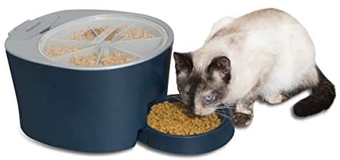 PetSafe Six Meal Pet Feeder, Automated Cat and Canine Meals Dispenser, Programmable Digital Clock with Sleep Mode Operate, 6 Cups Complete Capability, Simple to Clear and Tamper-Resistant Design