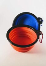 Matrose Crimson and Blue Canine and cat Collapsible Journey Bowls 350 ml or 12oz Good for Small to Medium Pets 2 Pack