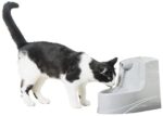 PetSafe Drinkwell Mini Pet Fountain for Cats and Small Canine, 40 oz Capability Water Dispenser with Filter Included, PWW00-14402