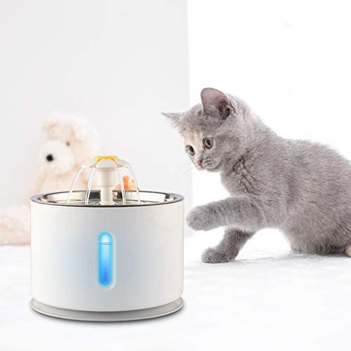 ELEOPTION Cat Fountain Stainless Metal Cat Canine Water Dispenser with Filters, 81oz/2.4 L Computerized Electrical Water Bowl, Consuming Fountain for Canine, Cats, A number of Pets