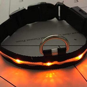 APACHIS Safety LED Collar - USB Rechargeable & Water Resistant Flashing LED Dog Collar - Avoid Danger! Light Weight! Stylish!