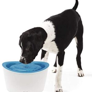 ZEUS Fresh & Clear Drinking Fountain, Elevated Dog Water Dispenser, Original (Packaging May Vary)