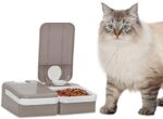 PetSafe Automated 2 Meal Pet Feeder with Battery Powered Programmable Timer, 3 Cups Complete Capability, Cat and Small to Medium Canine Meals Dispenser