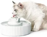 Cepheus 360 Ceramic Pet Fountain, Advanced Porcelain Cat Water Fountain, 70 oz.Drinking Fountains Bowl for Cat and Dogs with Replacement Filters and Foam