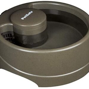PetSafe Current Circulating Pet Fountains - Dog and Cat Automatic Water Dispensers - Fresh Filtered Water - 3 Bowl Sizes Available - Forest or Orchid Colors - Easy to Clean