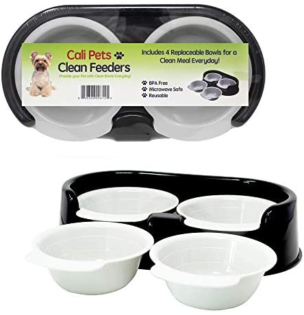 Cali Pets Clear Feeder Pet Bowls | 4 Interchangeable Feeding Bowls | BPA Free Plastic Pet Feeding Station | Out there in Massive and Small