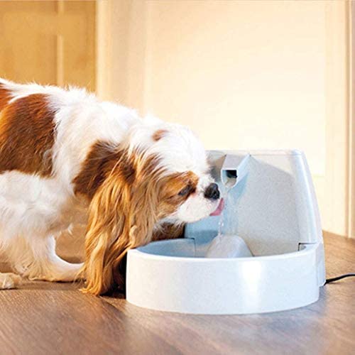 YANG1MN Pet Good Consuming Water Machine, Pet Fountain, Cat Bowl, Cat and Canine Consuming Water Tank Circulation Filter, 5L Oxygen Storage Water Air purifier Pet Companion,White