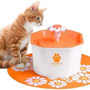 PAWSTRUST Cat Water Fountain, 1.6L Pet Fountain Automatic Pet Water Filter Dispenser with Silicone Mat, Super Quiet, Healthy and Hygienic Drinking Bowl for Cats, Dogs, Multiple Pets (Orange)