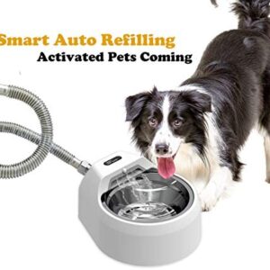 Automatic Stainless Steel Dog Water Bowl Fountain for Pets Indoor/Outdoor, Auto Refilling Dog Water Dispenser Without Step on