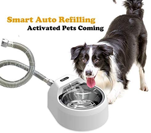 Automated Stainless Metal Canine Water Bowl Fountain for Pets Indoor/Out of doors, Auto Refilling Canine Water Dispenser With out Step on