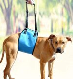 AMZpets Canine Elevate Harness Assist Sling Helps Canines with Weak Entrance or Rear Legs Stand Up, Stroll, Get Into Vehicles, Climb Stairs. Greatest Different to Canine Wheelchair