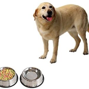 4lovedogs Stainless Steel Dog Bowls, 32 Oz (Set of 2)