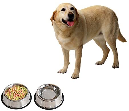 4lovedogs Stainless Metal Canine Bowls, 32 Oz (Set of two)