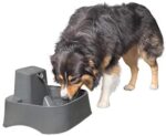 PetSafe Drinkwell 1/2, 1, or 2 Gallon Pet Fountains, Greatest for Cats, Canines and A number of Pets, Adjustable Stream, Contemporary Water Dispenser, Simple to Clear Design, 2 Filters Included