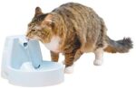 PetSafe Drinkwell Authentic Pet Fountain, 50 oz Capability Contemporary Filtered Water Dispenser for Cats and Medium Sized Canine, Straightforward to Clear Design with Adjustable Circulate, Filters Included