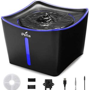 iPettie Kamino LED Light Pet Water Fountain 3L/101oz, Ultra-Quiet Automatic Water Dispenser with Water Level Window, USB Pump & Dual Filters for Cats and Dogs