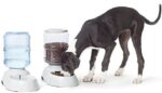 Amazon Fundamentals Gravity Pet Meals Feeder and Water Dispensers