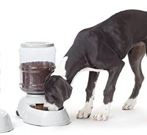 Amazon Basics Gravity Pet Food Feeder and Water Dispensers