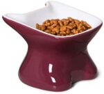 LE TAUCI Ceramic Cat Bowl Elevated, Raised Cat Food Bowl 4 Ounce Cat Dish for Food and Water for Small Cat Dog