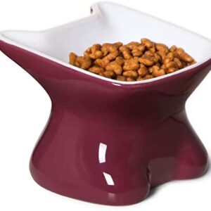 LE TAUCI Ceramic Cat Bowl Elevated, Raised Cat Food Bowl 4 Ounce Cat Dish for Food and Water for Small Cat Dog