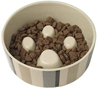 PetRageous 12017 Metro Slowfeed Dishwasher Secure Canine Meals Bowl with 4-Cup Capability 7-Inch Diameter 2.25-Inch Tall for Medium and Giant Canine and Cats, Multi-Coloured, Off-White