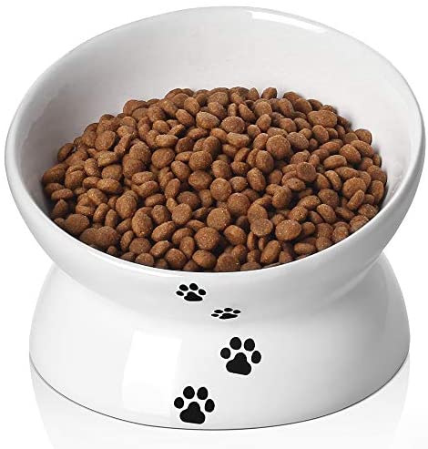 Y YHY Cat Bowl,Raised Cat Meals Bowls, Tilted Elevated Cat Bowl, Ceramic Pet Meals Bowl for Flat Confronted Cats, Small Canines,Defend Pet’s Backbone,Dishwasher Protected