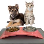 ZEXPRO Double Pet Meals Bowls – Canine Bowls & Cat Bowls Made with Premium Stainless – Raised Feeding Stand with Non-Slip Silicon Mats Made with PP – Excellent for Cats and Small Canines
