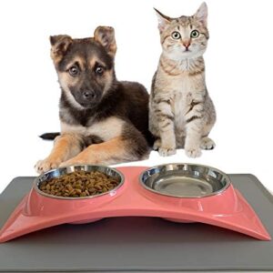 ZEXPRO Double Pet Food Bowls - Dog Bowls & Cat Bowls Made with Premium Stainless - Raised Feeding Stand with Non-Slip Silicon Mats Made with PP - Perfect for Cats and Small Dogs