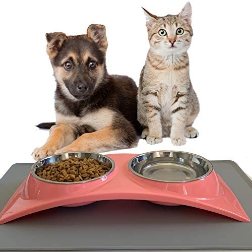 ZEXPRO Double Pet Meals Bowls – Canine Bowls & Cat Bowls Made with Premium Stainless – Raised Feeding Stand with Non-Slip Silicon Mats Made with PP – Excellent for Cats and Small Canines