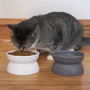 Kitty City Raised Cat Food Bowl Collection, Stress Free Pet Feeder and Waterer