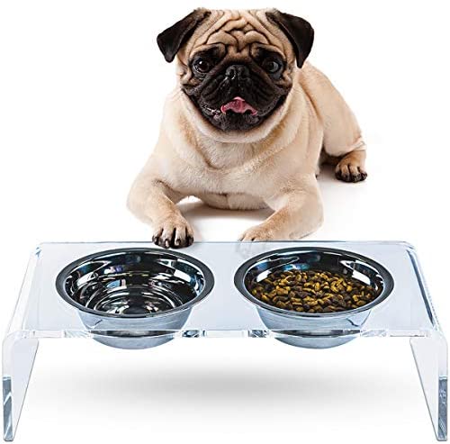 ZEXPRO Acrylic Elevated Pet Bowls – Raised Clear Feeding Stand for Cats and Small Canine – 2 Stainless Metal Meals Container No Splash, Spill, Messy Flooring Feed Pedestal