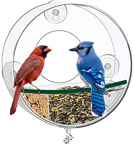 Birdious Round Window Chicken Feeder Home: Deliver Wild Birds Up Shut. Robust Suction Cups and Detachable Tray. Clear, See By means of, Massive Birdfeeder for Outdoors. Finest Present Concept