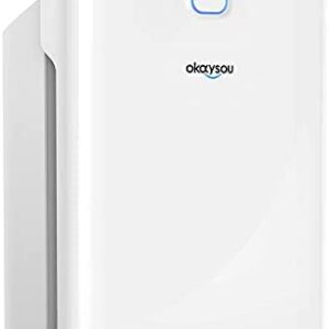 Okaysou Smart Air Purifier with Washable 3 Filters, Medical Grade H13 True HEPA, 5-in-1 Large Room Cleaner for Pets, Asthma, Smokers, Remove 99.97% Dust Pollen Smoke Odor,1000 Sq Ft, White