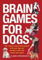 Mind Video games for Canine: Enjoyable Methods to Construct a Sturdy Bond with Your Canine and Present It with Very important Psychological Stimulation