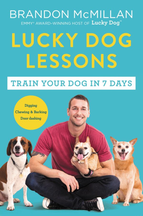 Fortunate Canine Classes: Prepare Your Canine in 7 Days