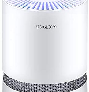 RIGOGLIOSO True HEPA Filter Air Purifier for Home Bedroom Office, Available for California, Purify 99.97% Pollen, Dust, Smoke, Odor, Pet Dander, Air Purifiers with Night Light,GL-2109