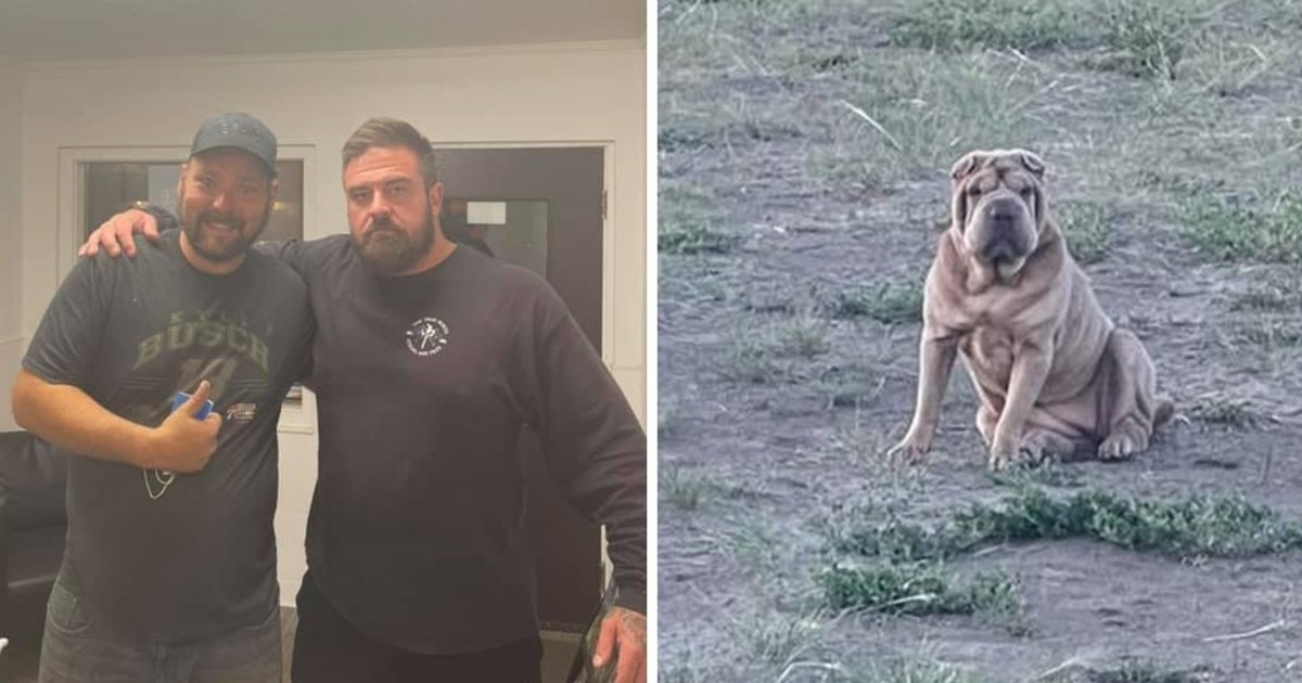 Reformed Gang Member Reveals Compassion For The Addict Who Stole His Canine