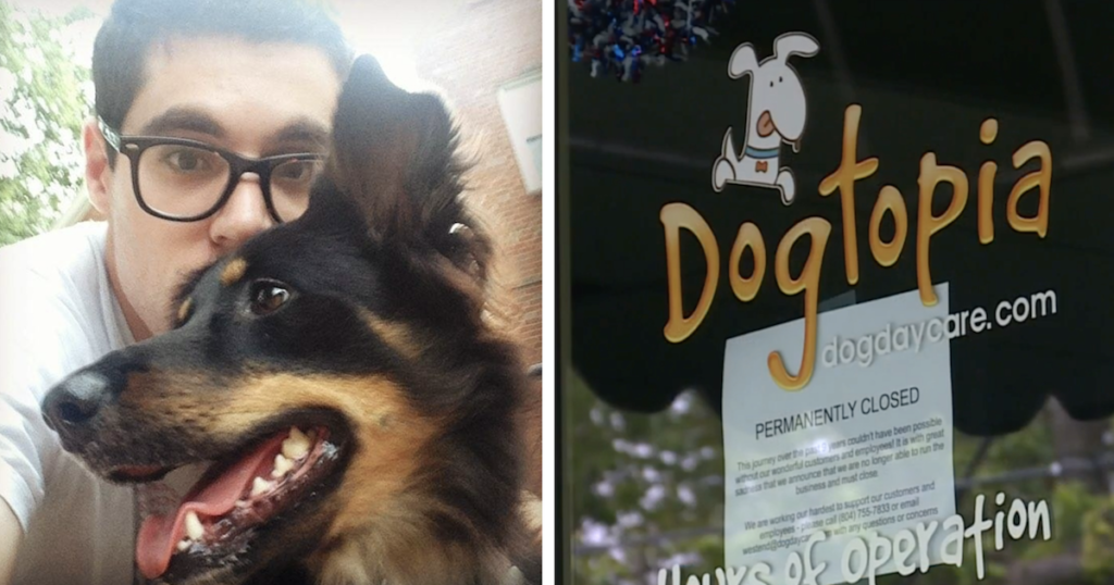Dog Daycare Abruptly Closes For Good With Dogs Still Inside