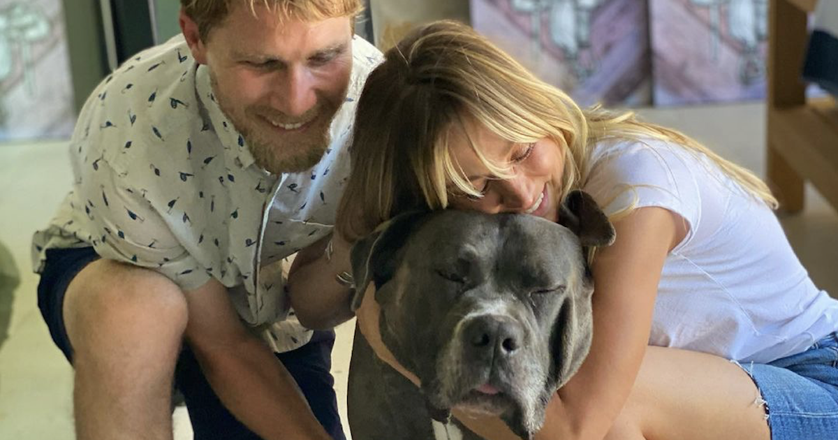 Kaley Cuoco Adopts Large Senior Canine After Dropping Her Finest Pal
