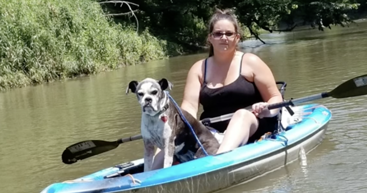 Kayakers Rescue Senior Canine Lacking Since July 4 Fireworks