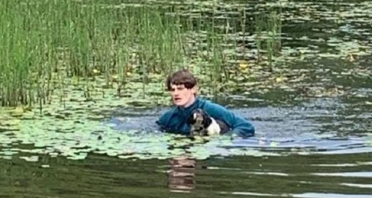 Teen Dives Into Lake To Rescue Stranger’s Shih Tzu From Drowning