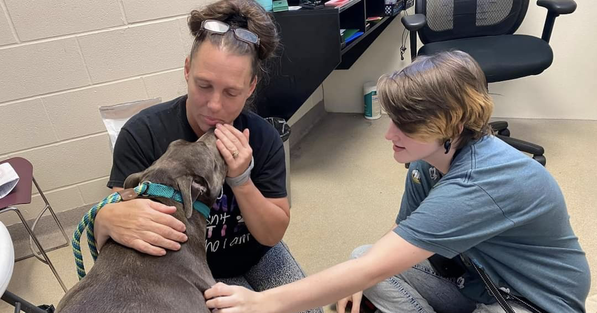 Canine Rescue Founder Reunites With Lacking Pit Bull After 8 Years Aside