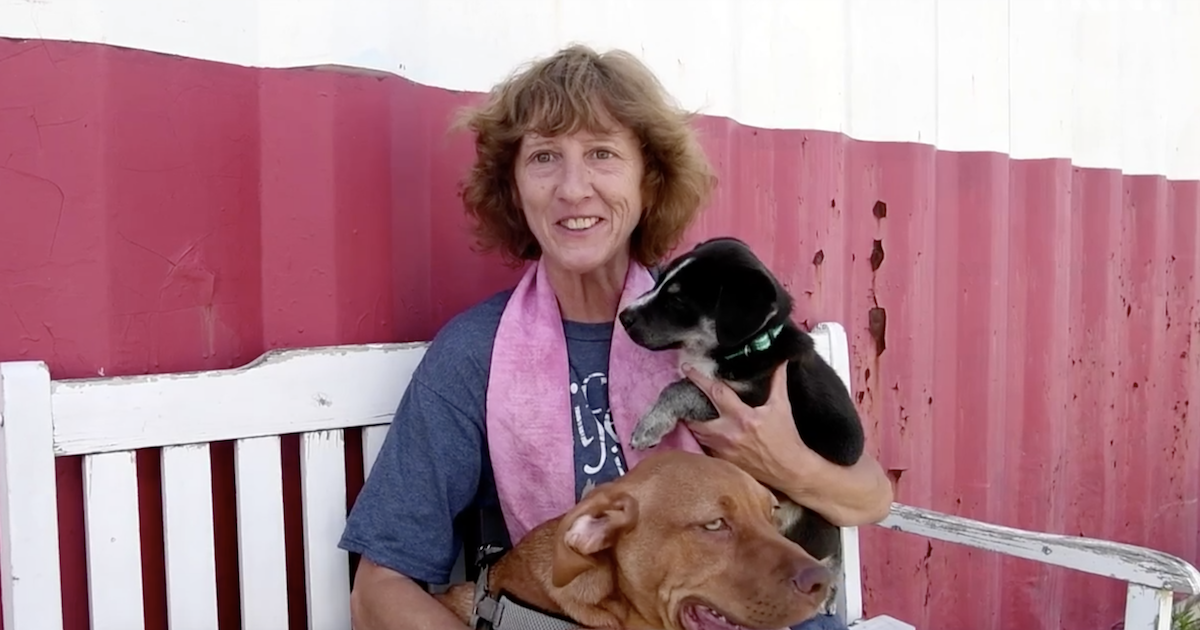 Volunteer Honored For Fostering 300 Canines And Counting!