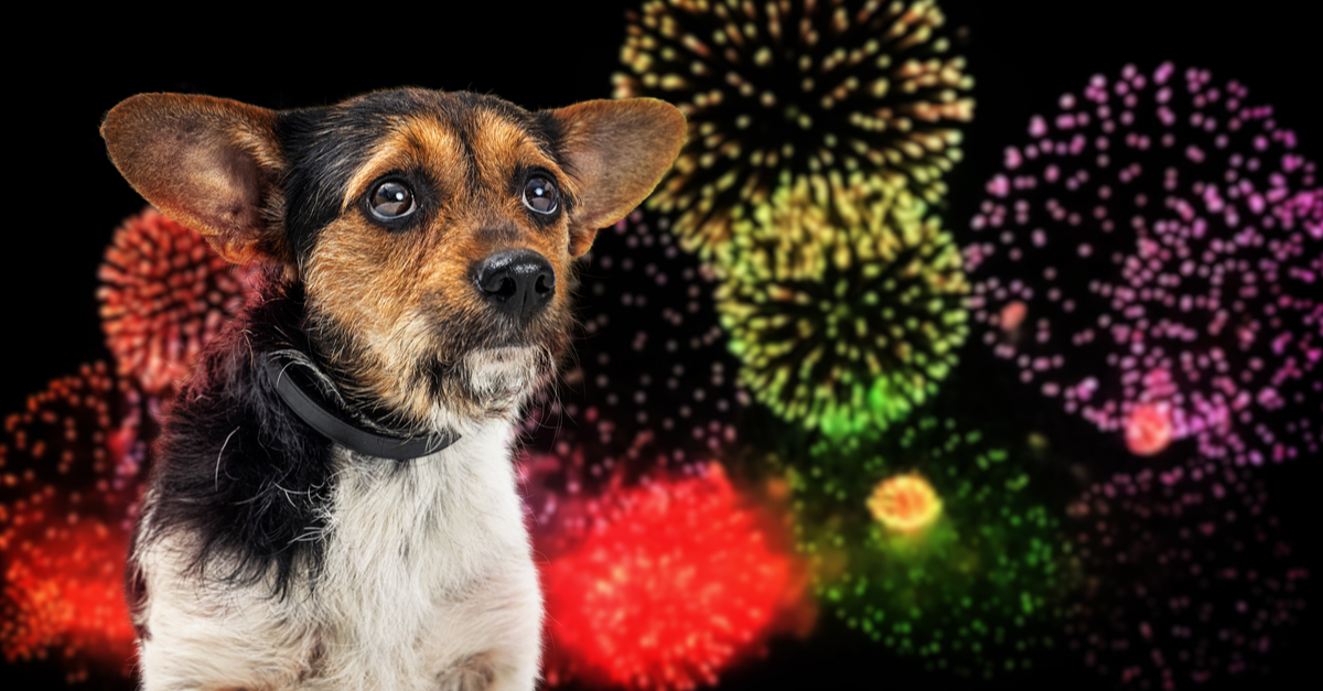 Low-Noise Fireworks Exist, So Why Will not We Use Them?