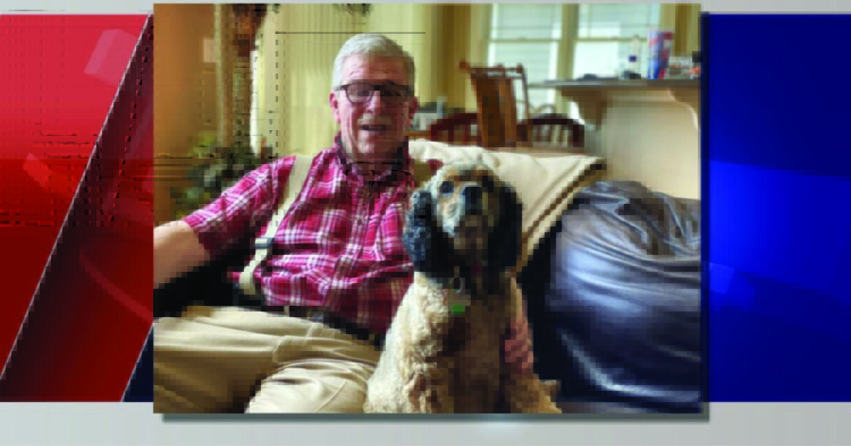 Wonderful Man Drives Throughout State To Assist Stranger Discover Lacking Canine