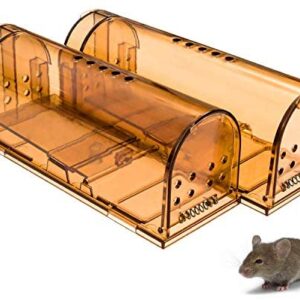 CaptSure Original Humane Mouse Traps, Easy to Set, Kids/Pets Safe, Reusable for Indoor/Outdoor use, for Small Rodent/Voles/Hamsters/Moles Catcher That Works. 2 Pack (Small)