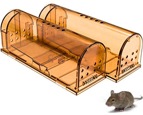 CaptSure Authentic Humane Mouse Traps, Straightforward to Set, Children/Pets Secure, Reusable for Indoor/Outside use, for Small Rodent/Voles/Hamsters/Moles Catcher That Works. 2 Pack (Small)